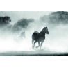3.1 Arabian Horse - Pierre Guillaume Paris Eau de parfum