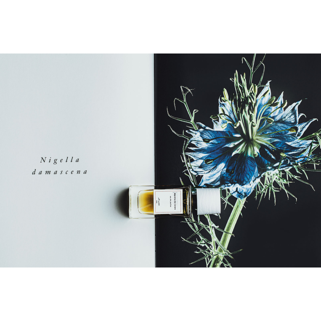 Migration de L'Arbre - Senyokô