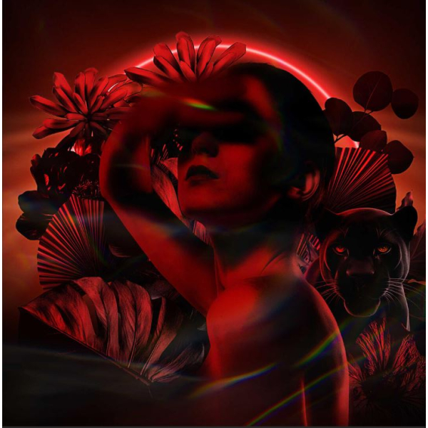 Volupté Noire - Pierre Guillaume