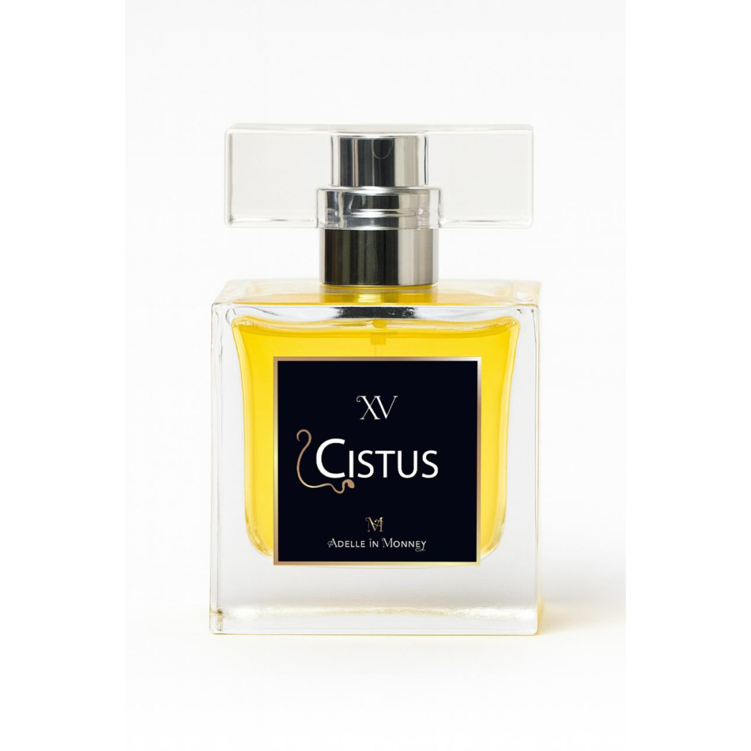 Cistus - Adelle in Monney